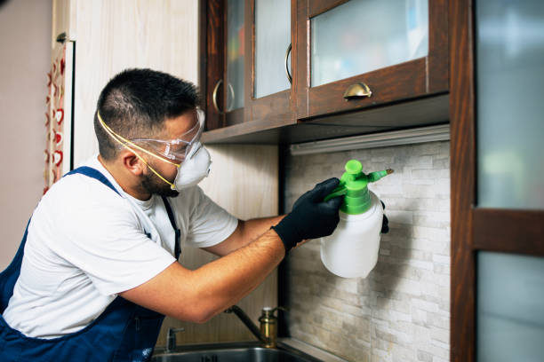 Best Commercial Pest Control Services  in La Nte, MO