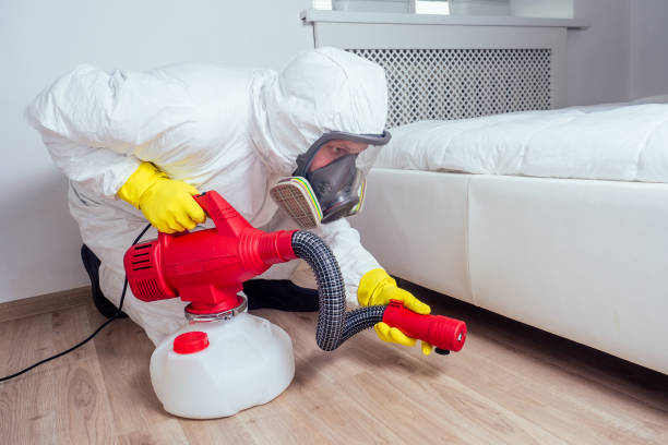 Best Emergency Pest Control  in La Nte, MO