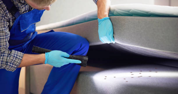 Best Pest Removal Services  in La Nte, MO