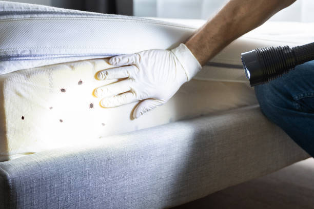 Best Residential Pest Control  in La Nte, MO